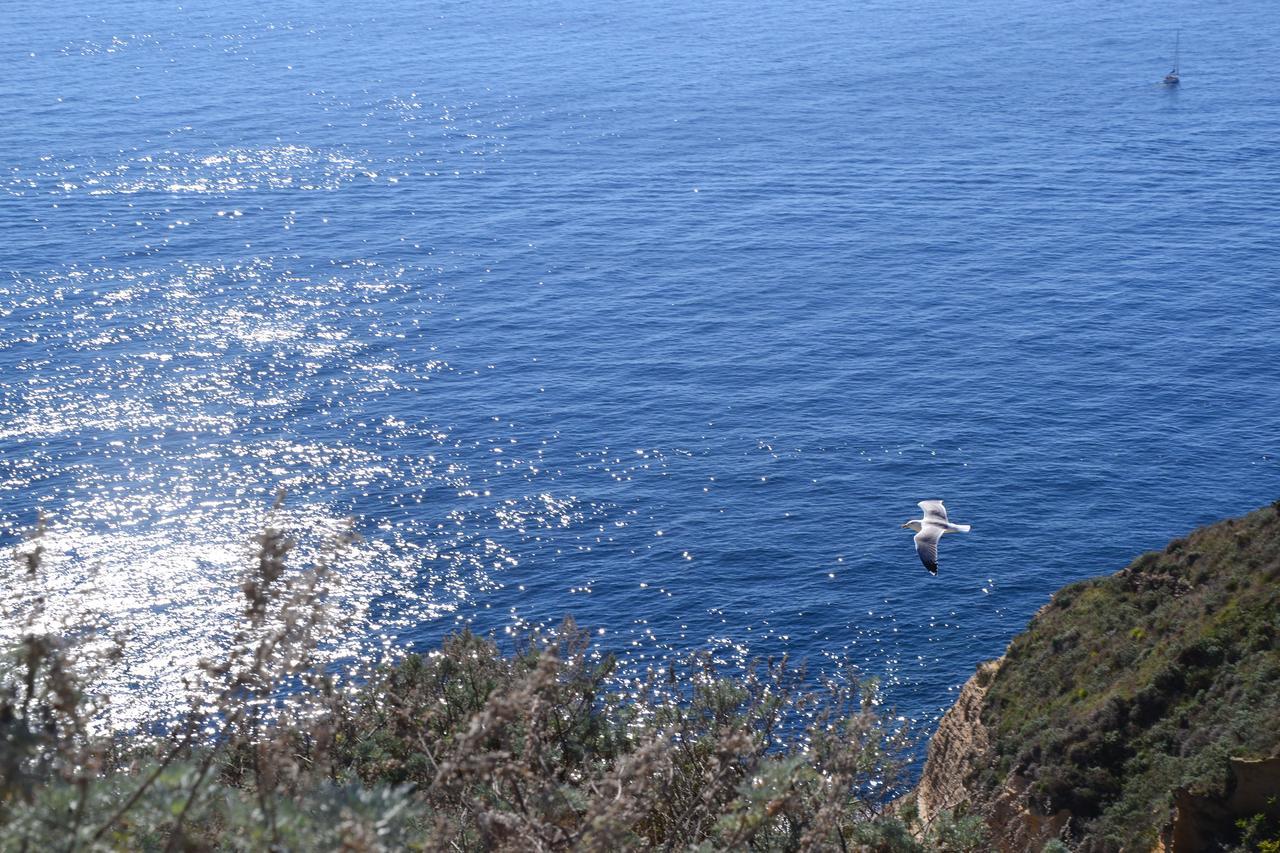 Terra Murata Boutique B&B Procida Bagian luar foto
