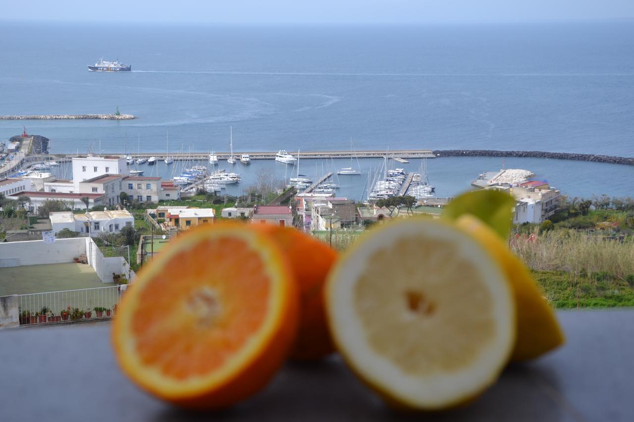 Terra Murata Boutique B&B Procida Bagian luar foto